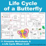 Life Cycle of a Butterfly Tracing Worksheet - Raising Hooks