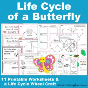 Life Cycle of a Butterfly – Cut and Paste - Raising Hooks