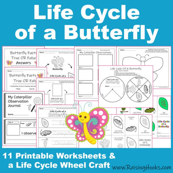 Life Cycle of a Butterfly – Cut and Paste - Raising Hooks