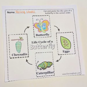 Life Cycle of a Butterfly – Cut and Paste - Raising Hooks