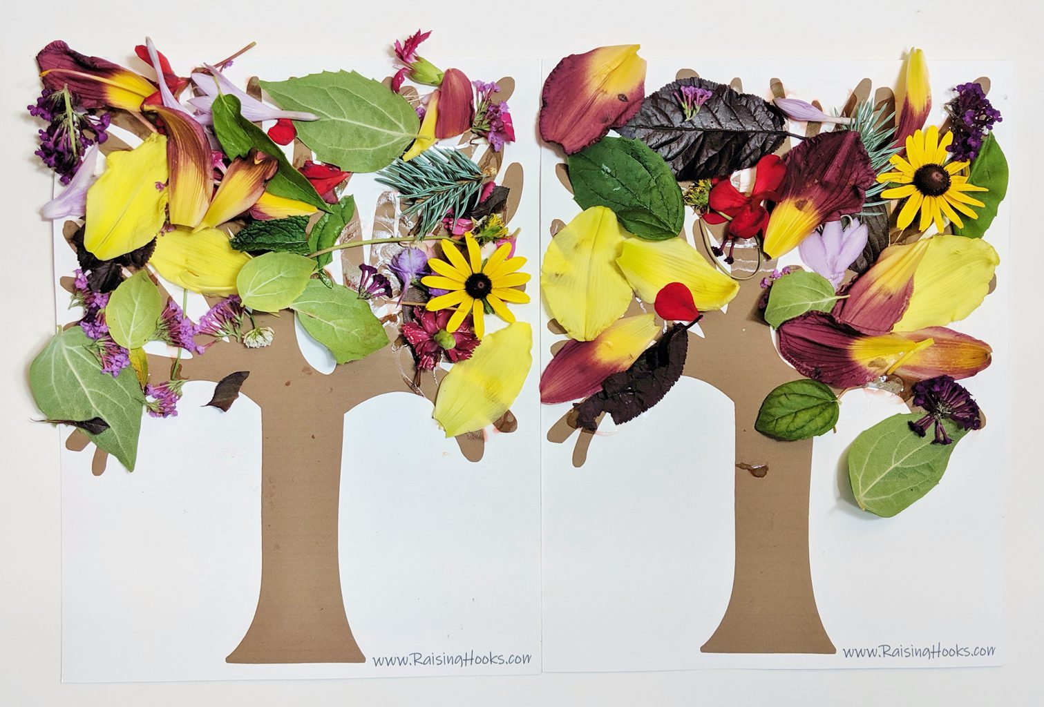 Crafting a Beautiful Tree with Treasures from Nature - Raising Hooks