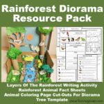 Rainforest Diorama – Raising Hooks