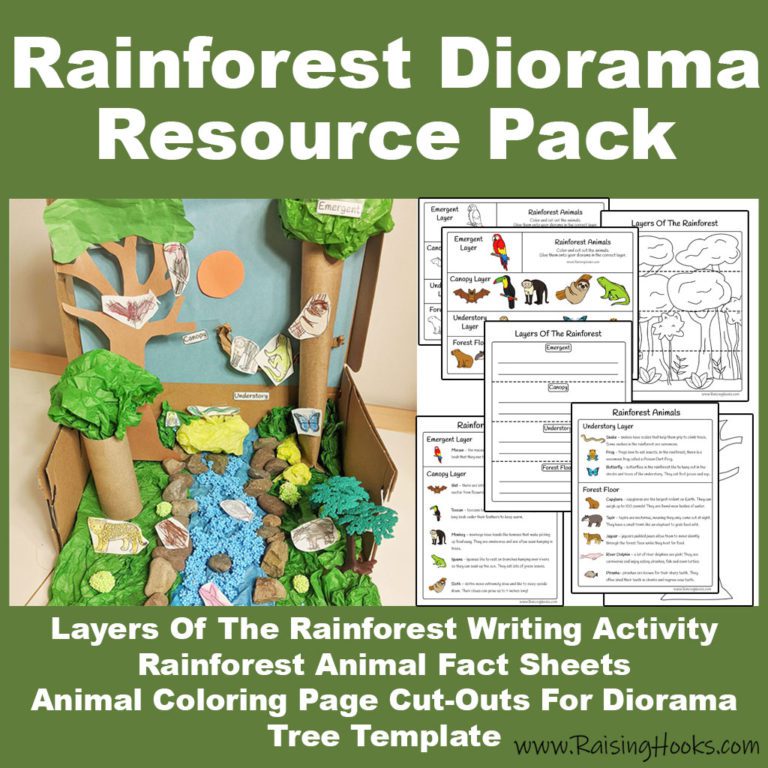 Rainforest Diorama - Raising Hooks